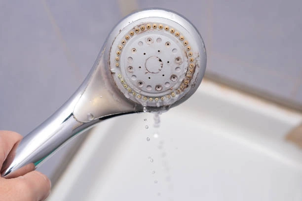 Hand holding a handheld chrome showerhead with heavy white calcium deposits and mineral encrustation clogging the spray nozzles.
